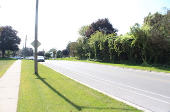 Enlarge photo 2