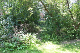 Enlarge photo 5