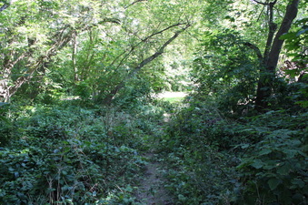 Enlarge photo 6