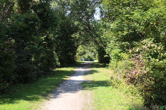 Enlarge photo 7