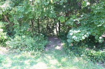 Enlarge photo 10