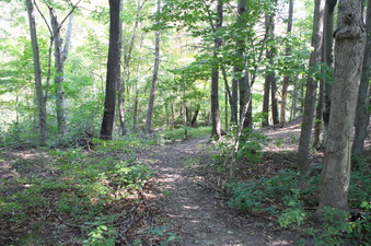Enlarge photo 13