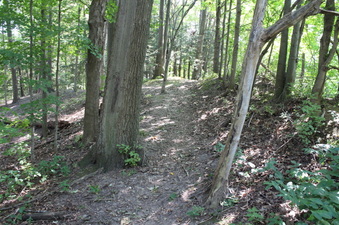 Enlarge photo 14