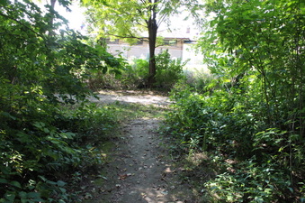 Enlarge photo 15