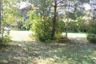 Enlarge photo 19