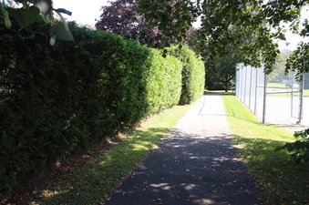 Enlarge photo 12