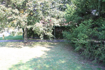 Enlarge photo 19