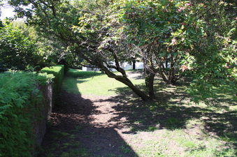 Enlarge photo 36