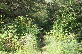 Enlarge photo 6