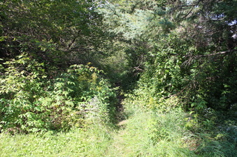 Enlarge photo 7
