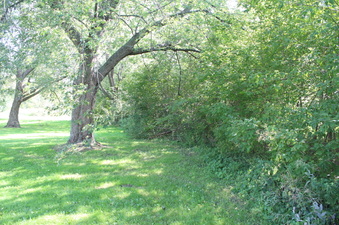 Enlarge photo 11