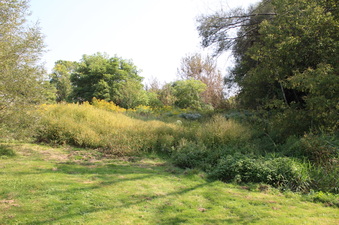 Enlarge photo 12