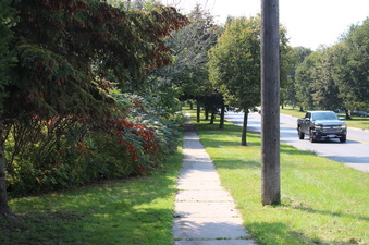 Enlarge photo 5