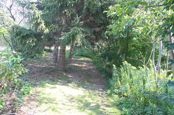 Enlarge photo 6