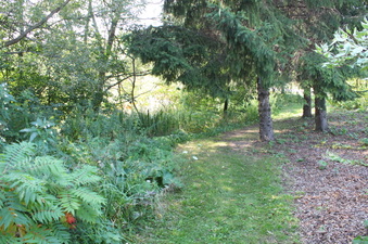 Enlarge photo 7
