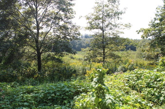 Enlarge photo 10