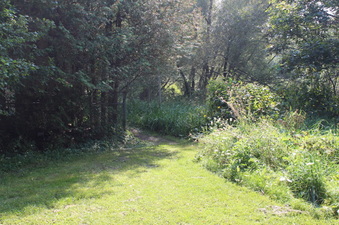 Enlarge photo 11