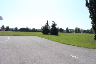 Enlarge photo 7