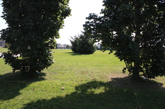 Enlarge photo 9