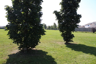 Enlarge photo 10