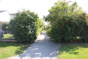Enlarge photo 16