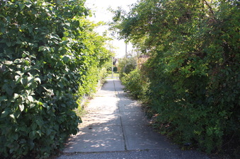 Enlarge photo 17