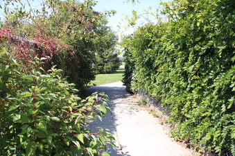 Enlarge photo 22