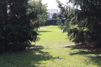 Enlarge photo 23
