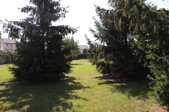 Enlarge photo 24