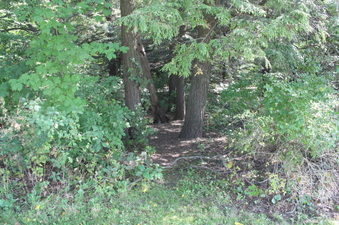 Enlarge photo 13
