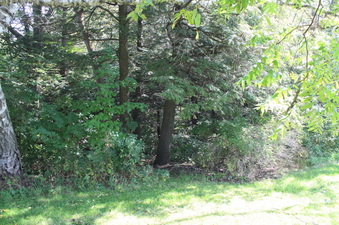 Enlarge photo 15
