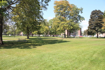 Enlarge photo 17