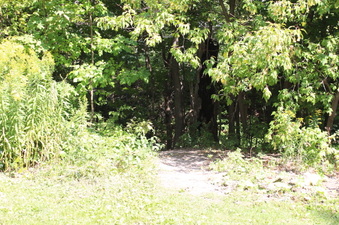 Enlarge photo 21