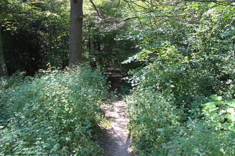 Enlarge photo 23