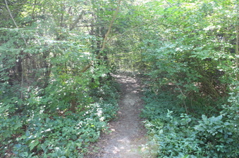 Enlarge photo 24