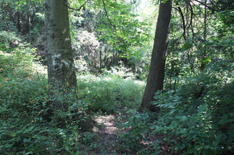 Enlarge photo 25
