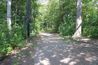 Enlarge photo 28
