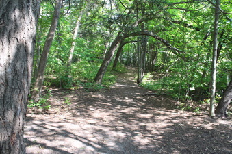 Enlarge photo 29