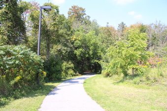 Enlarge photo 30