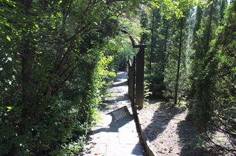 Enlarge photo 8