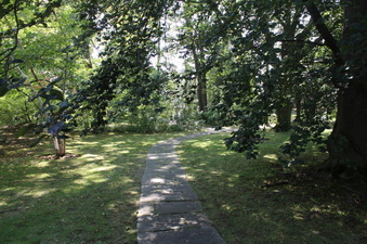 Enlarge photo 10