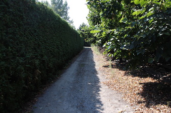 Enlarge photo 19