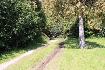 Enlarge photo 9