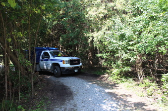 Enlarge photo 10