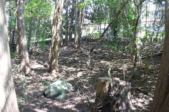 Enlarge photo 11