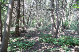 Enlarge photo 12