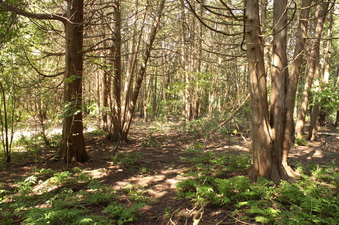 Enlarge photo 13