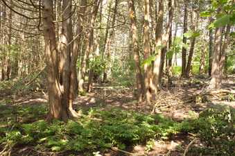 Enlarge photo 14