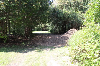 Enlarge photo 15