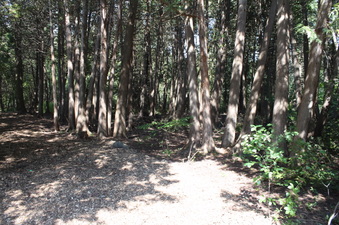 Enlarge photo 16